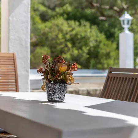 Negri Порт-де-Польєнса